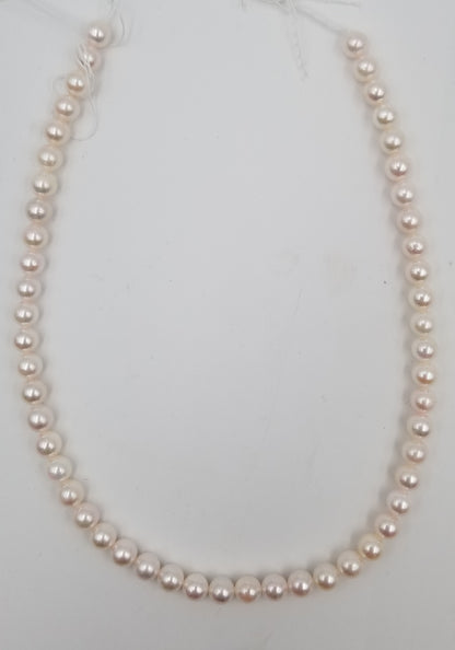 7.5-8 MM AKOYA CULTURED PEARLS STRANDS 16"