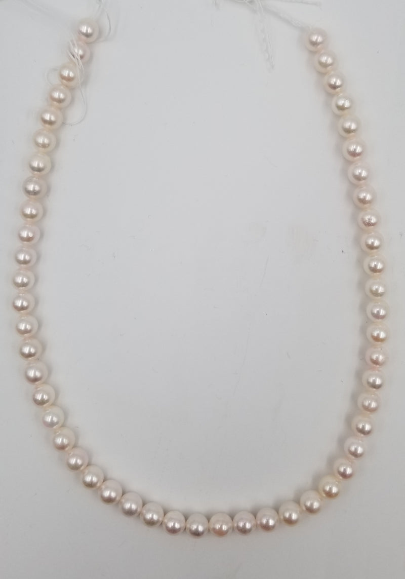 AKOYA CULTURED PEARLS 7.5-8 MM STRANDS 16"