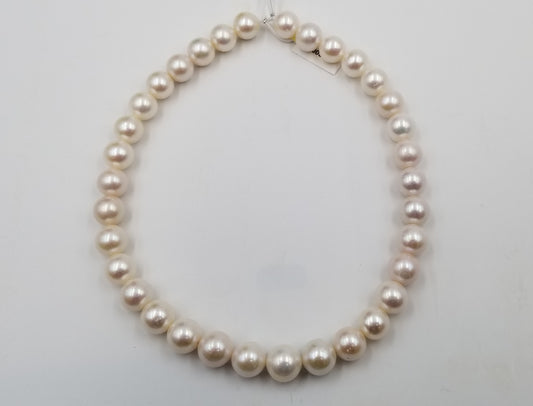 LARGE FRESHWATER CULTURED PEARLS STRANDS 11-14 MM