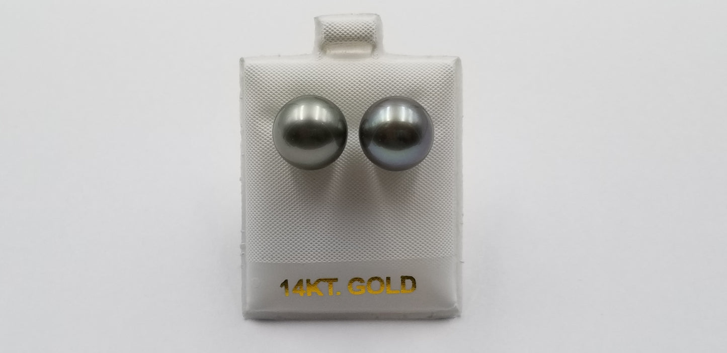 12-13 MM TAHITIAN PEARLS 14 KT YELLOW GOLD STUDS EARRINGS