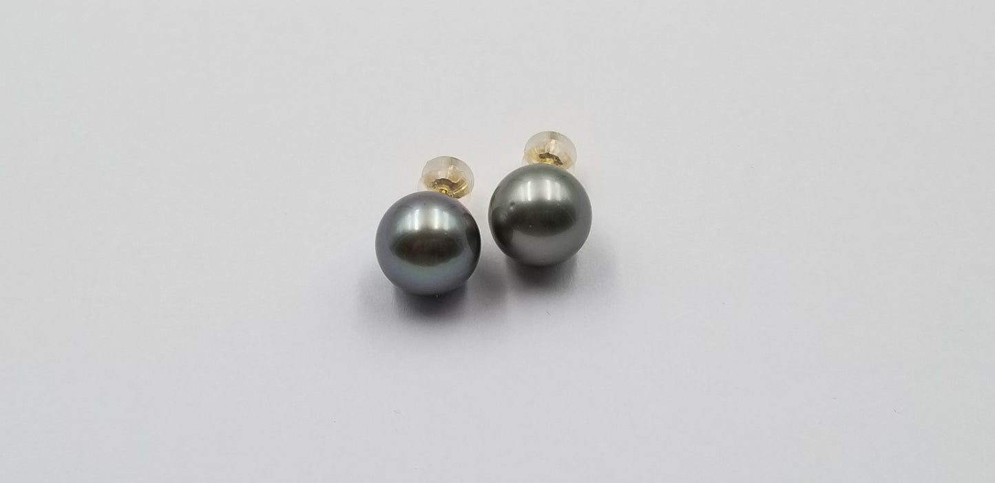 12-13 MM TAHITIAN PEARLS 14 KT YELLOW GOLD STUDS EARRINGS