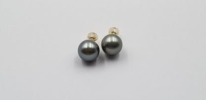 12-13 MM TAHITIAN PEARLS 14 KT YELLOW GOLD STUDS EARRINGS