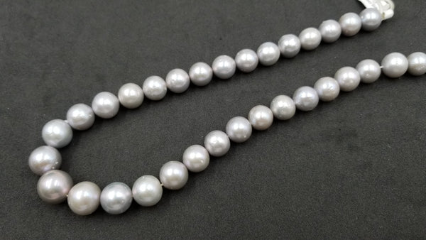 GREY COLORED FRESHWATER WATER CULTURE PEARL 12-15 MM ROUND STRAND 16.25 "