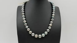 BLACK TAHITIAN PEACOCK COLOR PEARL 8.5-11.5 MM STERLING SILVER CLASP 17 " NECKLACE