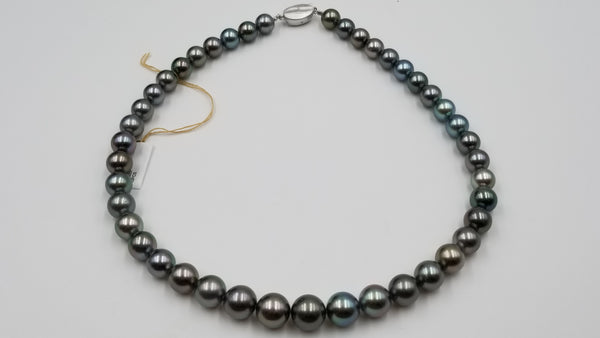 BLACK TAHITIAN PEACOCK COLOR PEARL 8.5-11.5 MM STERLING SILVER CLASP 17 " NECKLACE