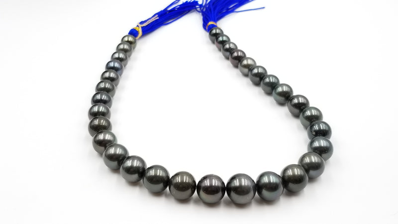 BLACK TAHITIAN 12-15 MM LARGE SIZE ROUND 16 " STRAND