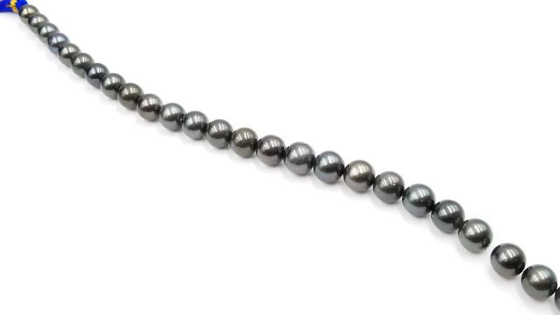 BLACK TAHITIAN 12-15 MM LARGE SIZE ROUND 16 " STRAND