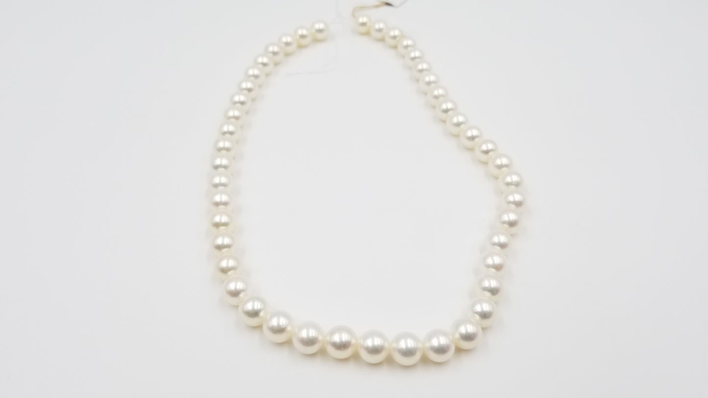 AKOYA SALT WATER CULTURE PEARL AA  8-8.5 MM 15.8 " STRAND